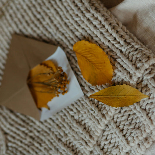 Letters to You: Finding Strength in Softness and Resilience