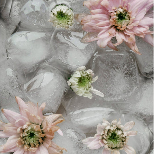 Cold Plunge Therapy: The Icy Reset for Your Body and Mind