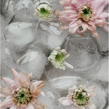 Cold Plunge Therapy: The Icy Reset for Your Body and Mind RYSE & SHYNE